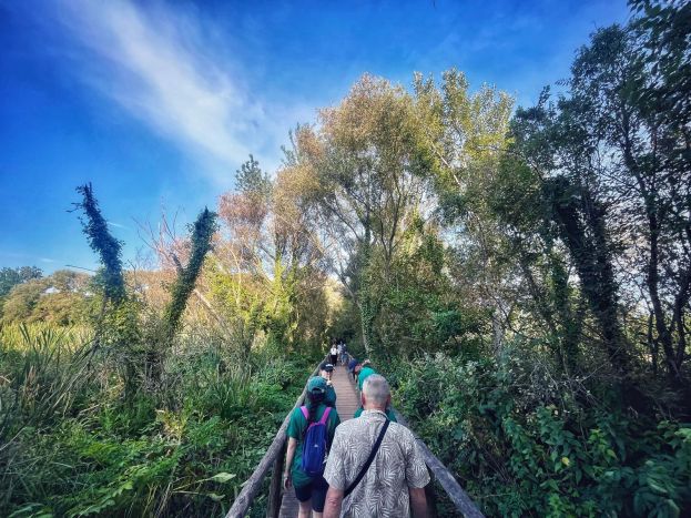 Trekking Cervelletta