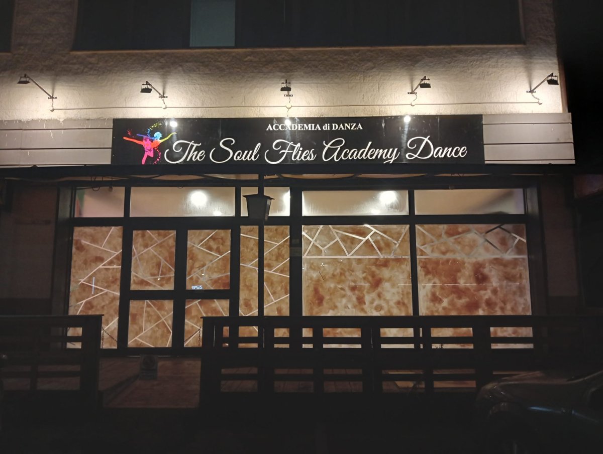 THE SOUL FLIES ACCADEMY DANCE