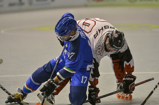 Giocatori di Hockey