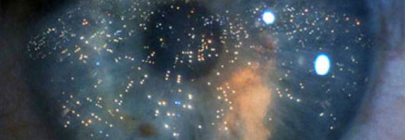 ADDIO PASSWORD, ARRIVANO GLI SMARTPHONE CHE SI SBLOCCANO CON L&amp;#039;OCCHIOLINO