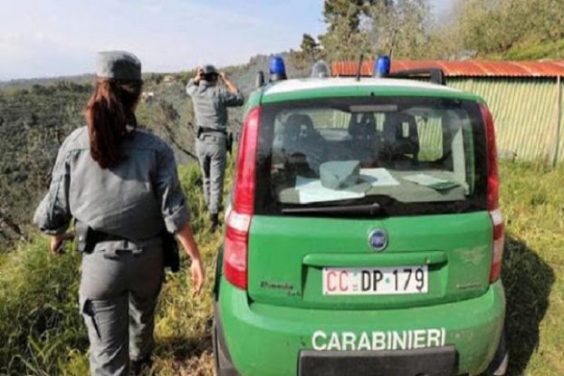 Carabinieri Forestali, Sulmona