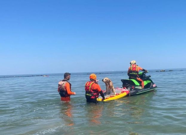 Salvataggio con moto d&amp;#039;acqua 2 Eracle aps