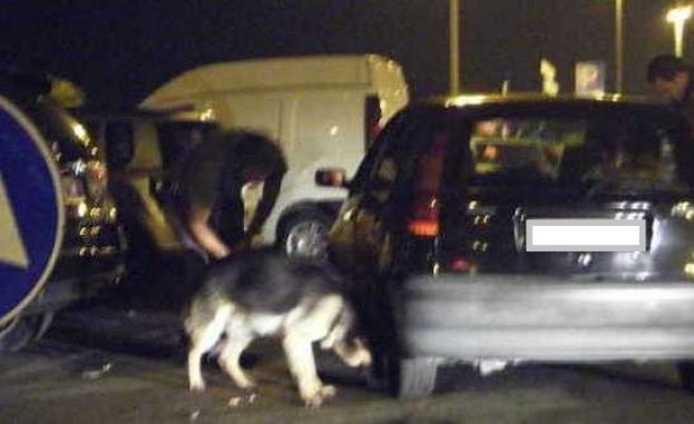 BLITZ ANTIDROGA DEI CARABINERI A CARSOLI - IN AZIONE ANCHE LE UNITA&amp;#039; CINOFILE