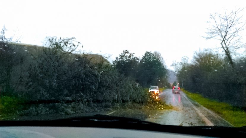 Albero Caduto sulla Tiburtina Valeria