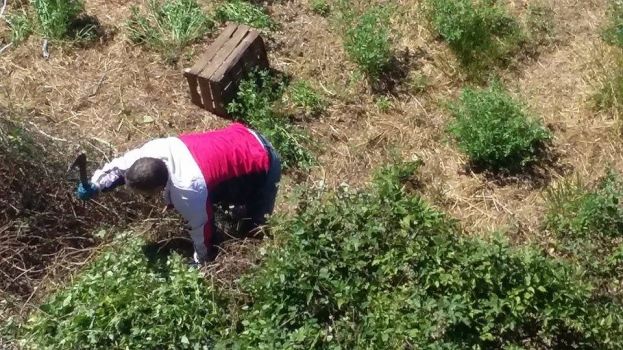 CARSOLI,CITTADINO DALL&amp;#039; ALTO SENSO CIVICO RIPULISCE CON UNA RONCOLA L&amp;#039;EX MATTATOIO DALLE STERPAGLIE