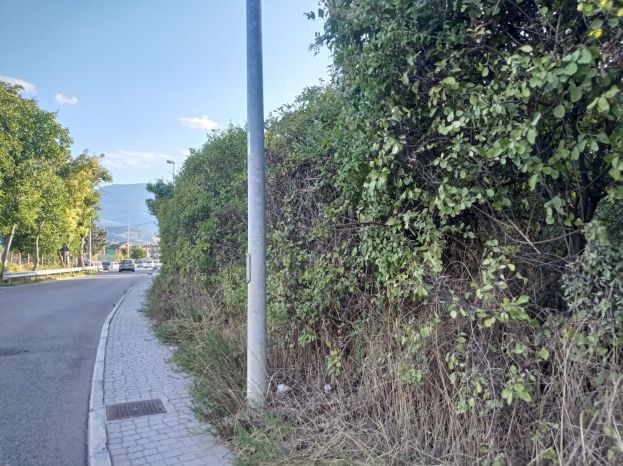 Siepe a Via Onna ,Paganica