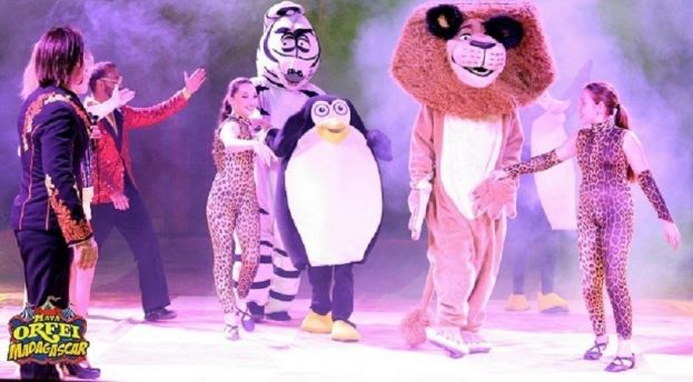 Maya Orfei Circo Madagascar