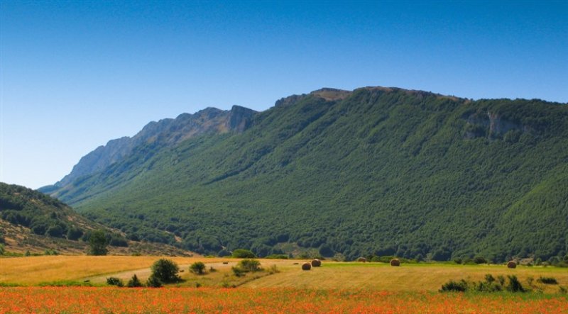 PARCO SIRENTE VELINO