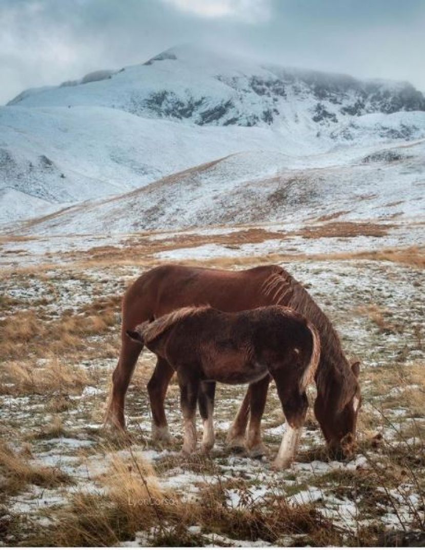 Prima neve a Campo Imperatore