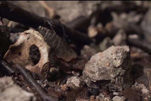 I resti umani dei ragazzini infoibati