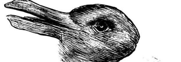 ANATRA O CONIGLIO?QUELLO CHE VEDI NEL DISEGNO PUO&amp;#039; DIRTI QUALCOSA SULLLA TUA PERSONALITA&amp;#039;