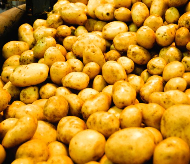Patate Fucino