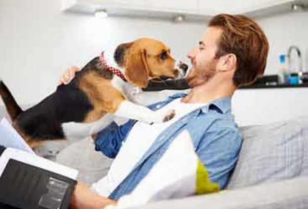 ECCO LE DETRAZIONI FISCALI PER CHI HA ANIMALI IN CASA