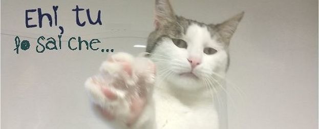 NON TUTTI SANNO CHE!!!! DI VERA MARCHEGIANI