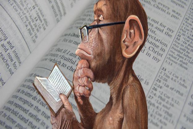 NON TUTTI SANNO CHE!!!! DI VERA MARCHEGIANI