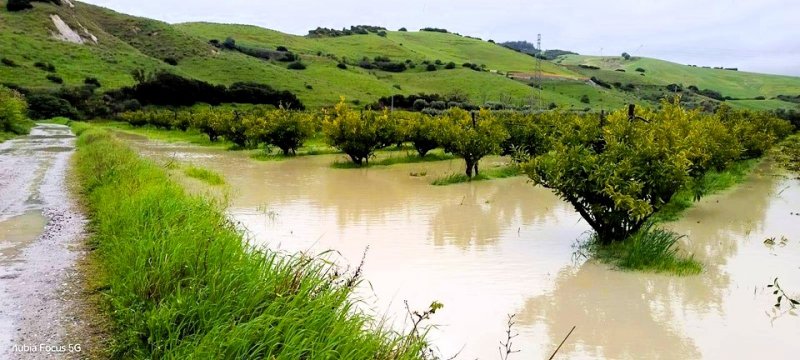 Maltempo agricoltura