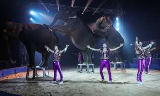 k2.items.cache.1b29fbf68f729f9b96261b40377f7c4f_Lnsp-817 CAVALIERENEWS.IT - CAVALIERENEWS|TERRITORIO,NOTIZIE DI OGGI,REGIONI