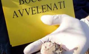 k2.items.cache.4d068a3dc936bbca3db8c8d87fe66fa2_Lnsp-706 CAVALIERENEWS.IT - CAVALIERENEWS|TERRITORIO,NOTIZIE DI OGGI,REGIONI