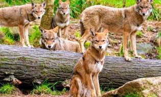 k2.items.cache.af6a645663891e1cff167dd4863c7af3_Lnsp-706 CAVALIERENEWS.IT - CAVALIERENEWS|TERRITORIO,NOTIZIE DI OGGI,REGIONI