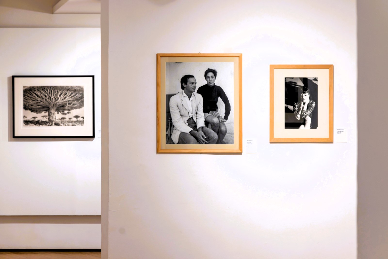 40 Mostra Museo Carlo Bilotti Lanterne Magiche ph WPS