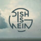 Disciplinatha mi risveglio news 735x350 1