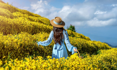 Immagine 2026 04 10 123916