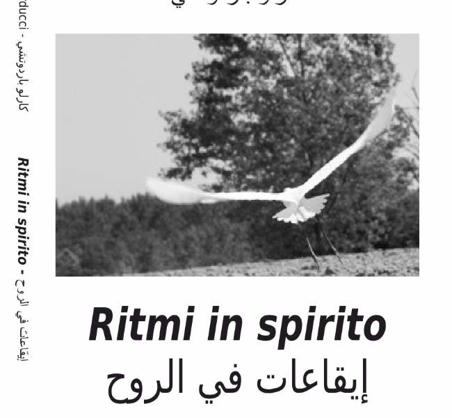 Immagine 2026 04 11 132615