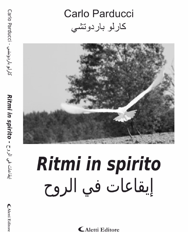 Immagine 2026 04 11 132615