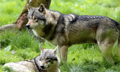 Immagine 2026 04 28 203520