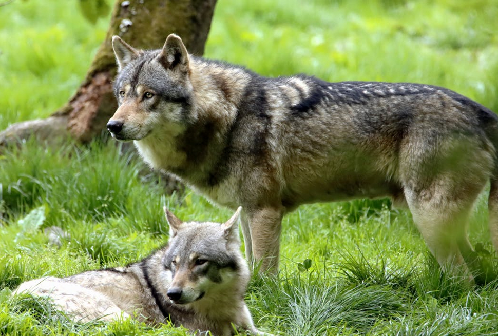 Immagine 2026 04 28 203520