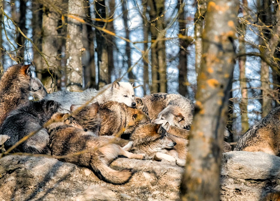 Immagine 2026 04 29 072346