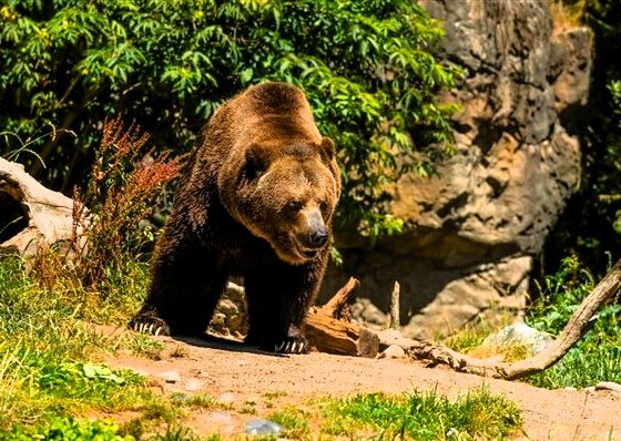 Immagine 2026 04 30 115550 633 x 398