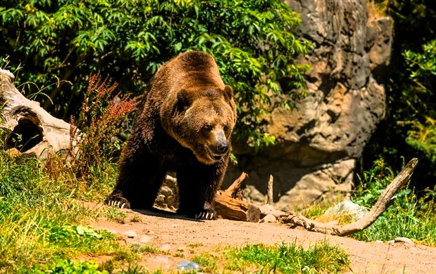 Immagine 2026 04 30 115550 633 x 398