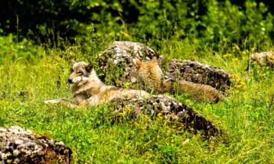 janis kloter H1SQo5T5tak unsplash 2411 x 1929 1205 x 964