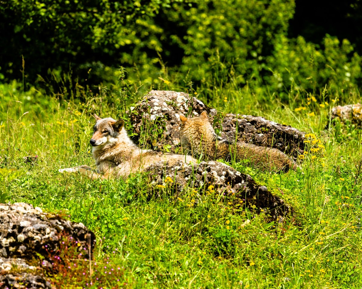 janis kloter H1SQo5T5tak unsplash 2411 x 1929 1205 x 964