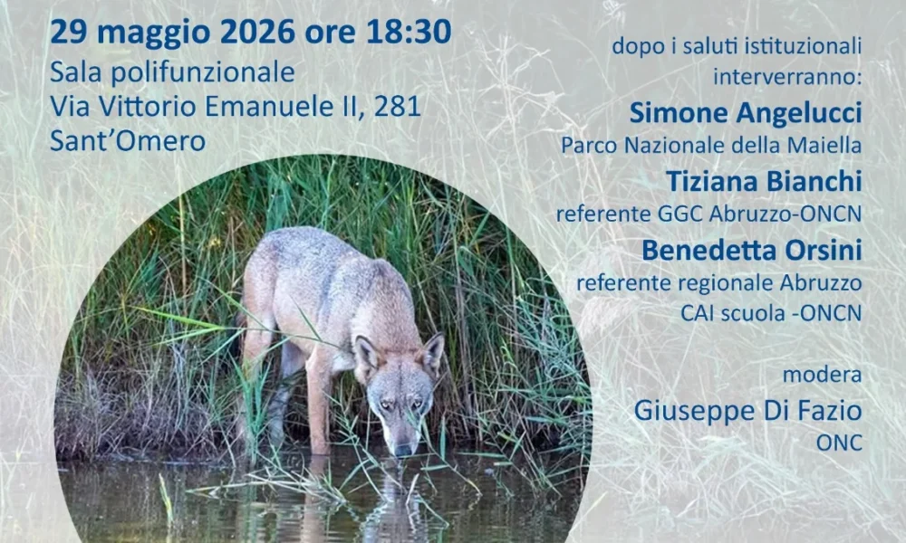 LUPO E TERRITORIO: IL CONVEGNO DI SANT’OMERO PER PREVENIRE CONFLITTI E VALORIZZARE LA NATURA