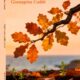 Copertina Foglie rosse gialle brune
