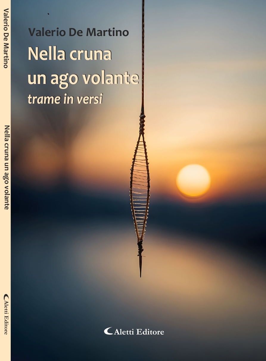 Copertina Nella cruna un ago volante