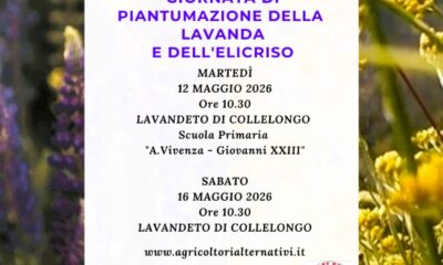 IMG 20260512 WA0043