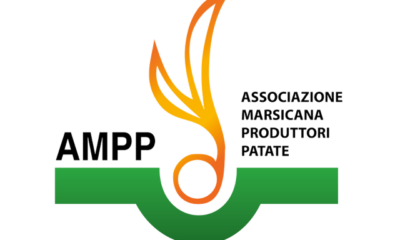 MARCHIO AMPP SCRITTA LATERALE