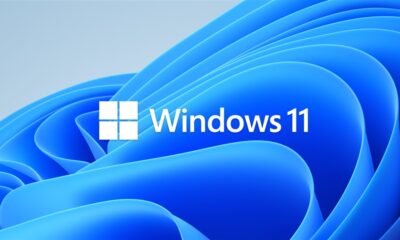 Windows 11 Hero Bloom Logo 960 x 540