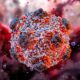 cover 1778160720888 Hantavirus 2304 x 1365
