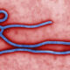 648x364 Ebola Virus and Disease