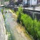 Fiume Turano,Carsoli