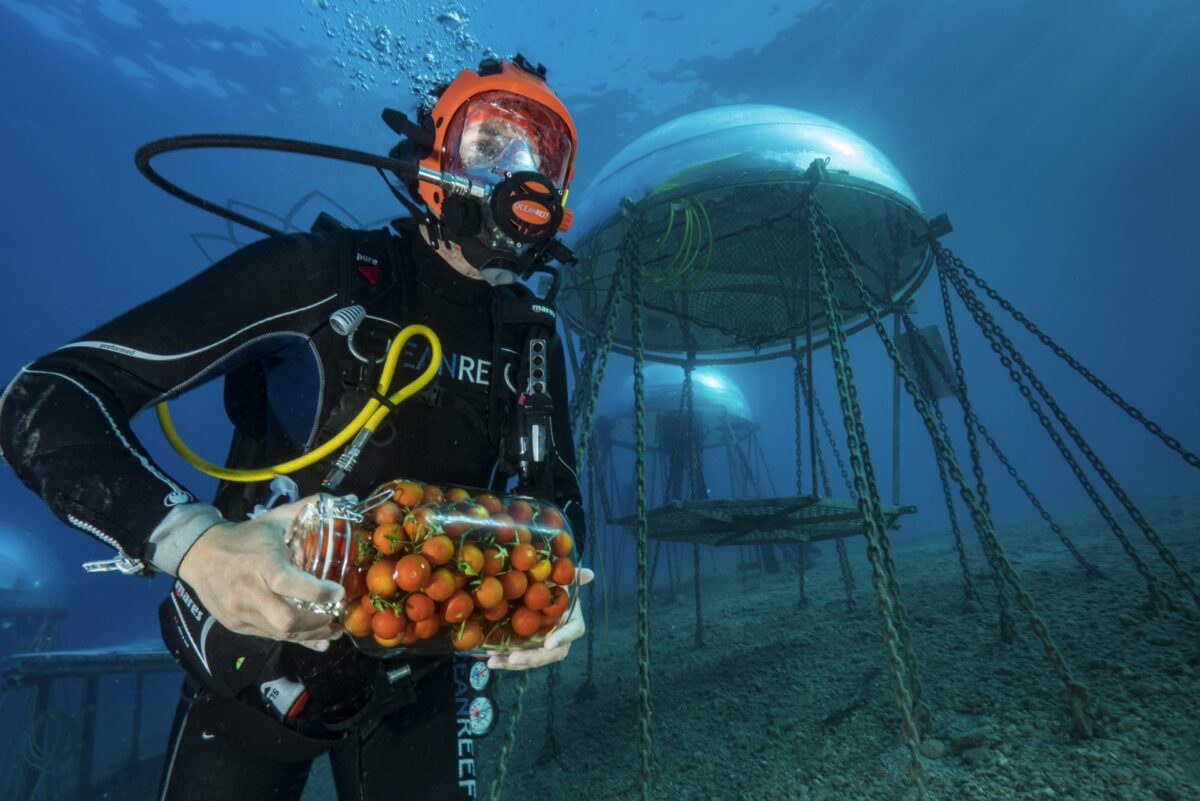 A garden for the sea
