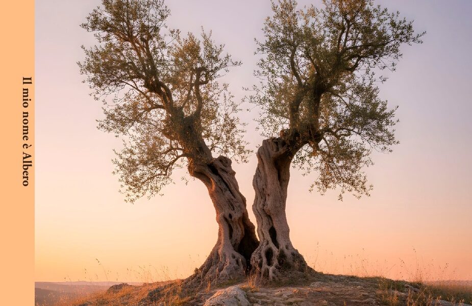 Il mio nome è Albero: la poesia di Anna Giancaspro come spazio di resistenza e memoria 163 Il mio nome è Albero: la poesia di Anna Giancaspro come spazio di resistenza e memoria