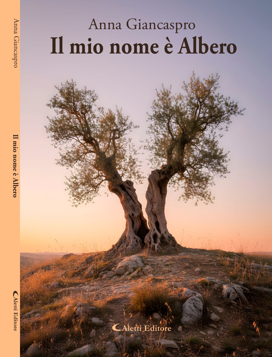 Copertina Il mio nome e Albero