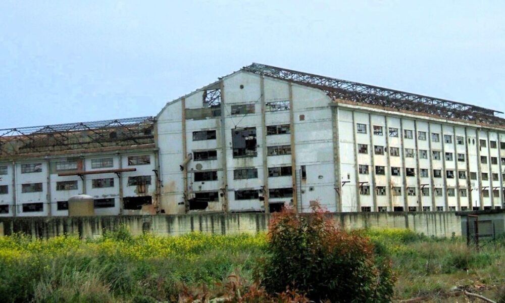 Ex zuccherificio di Policoro, al via il cantiere della rinascita per il Metapontino 163 Ex zuccherificio di Policoro, al via il cantiere della rinascita per il Metapontino