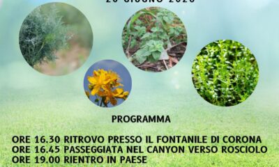 IMG 20260617 WA0017