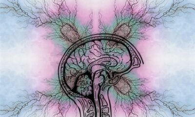 Immagine 2026 06 11 203533 621 x 426